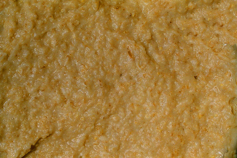 TEXTUR04.JPG