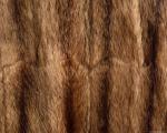 animal_patterns_44.jpg