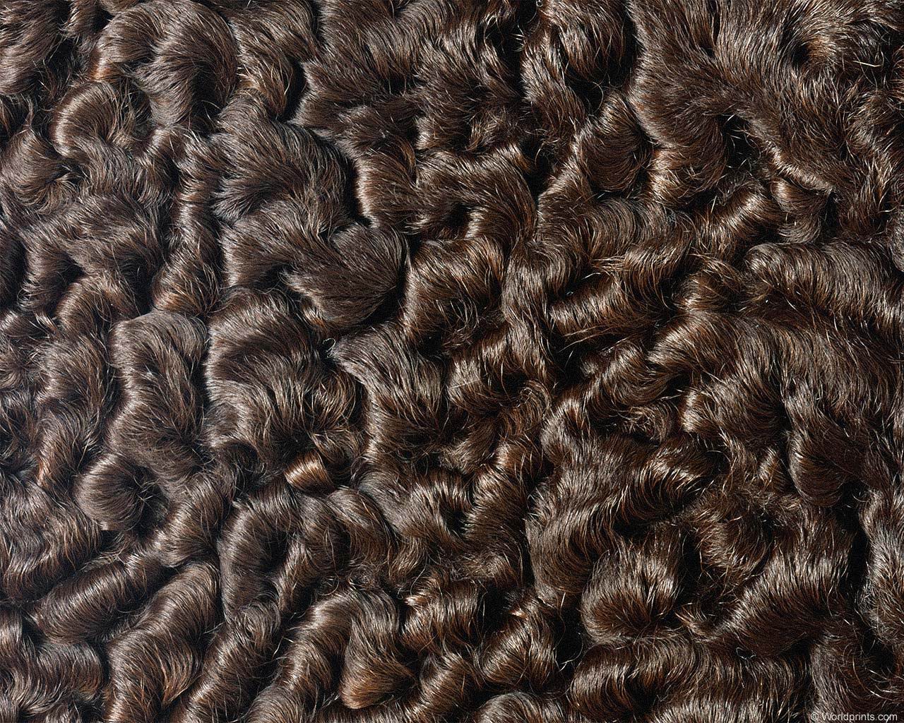 animal_patterns_49.jpg