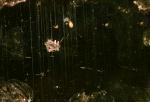 PYRITE.JPG