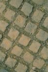 COBBLES.JPG