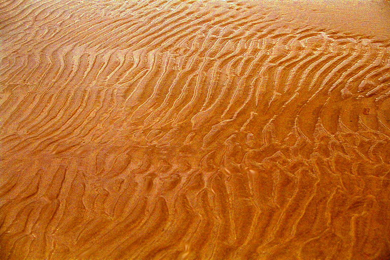 DESERT.JPG