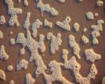 foam_on_sand.jpg