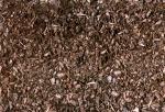 WMULCH.JPG