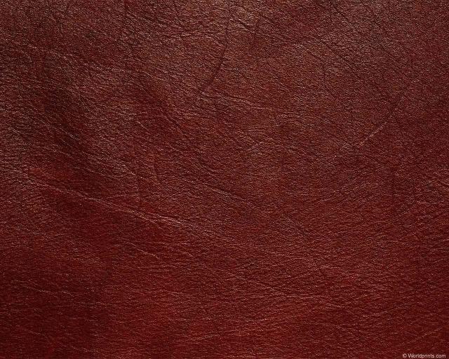 animal_patterns_24.jpg