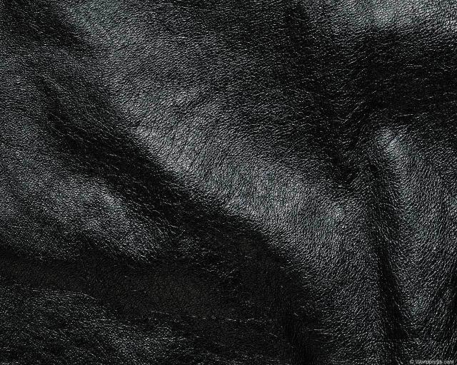 animal_patterns_26.jpg