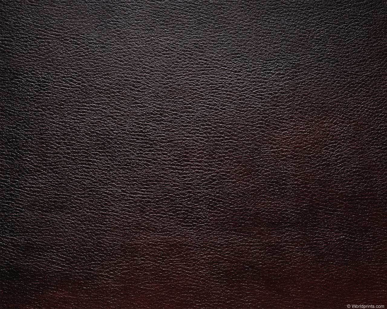 animal_patterns_32.jpg