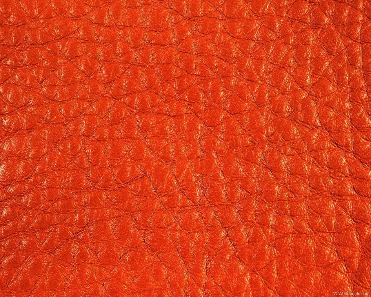 camelleather.jpg