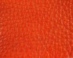 camelleather.jpg