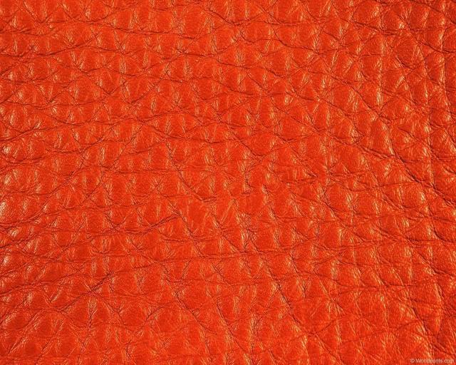camelleather.jpg
