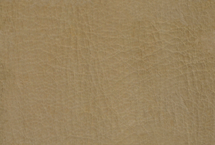 DEERSKIN.JPG