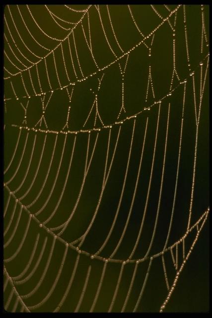 IMG0012.JPG