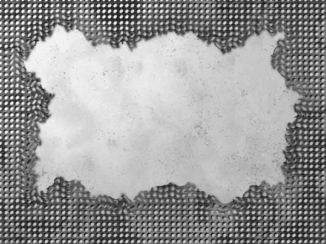 MESH1A.JPG