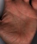 PALMSKIN.JPG