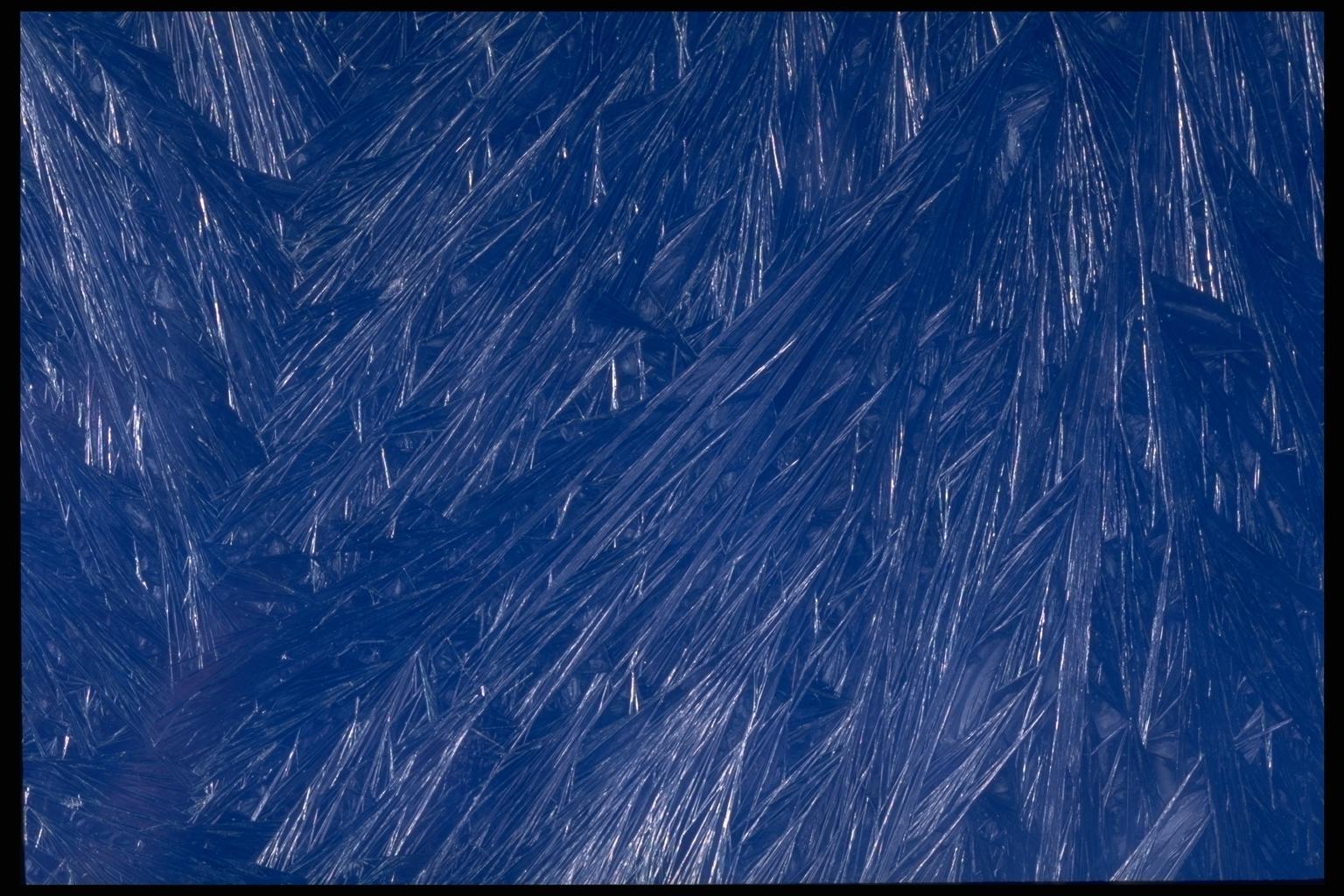 403014.JPG