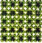 CLOVERS.JPG