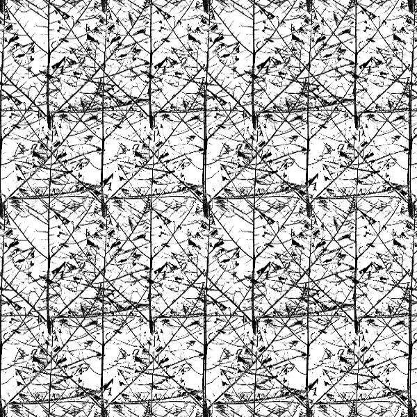 LEAF05.JPG