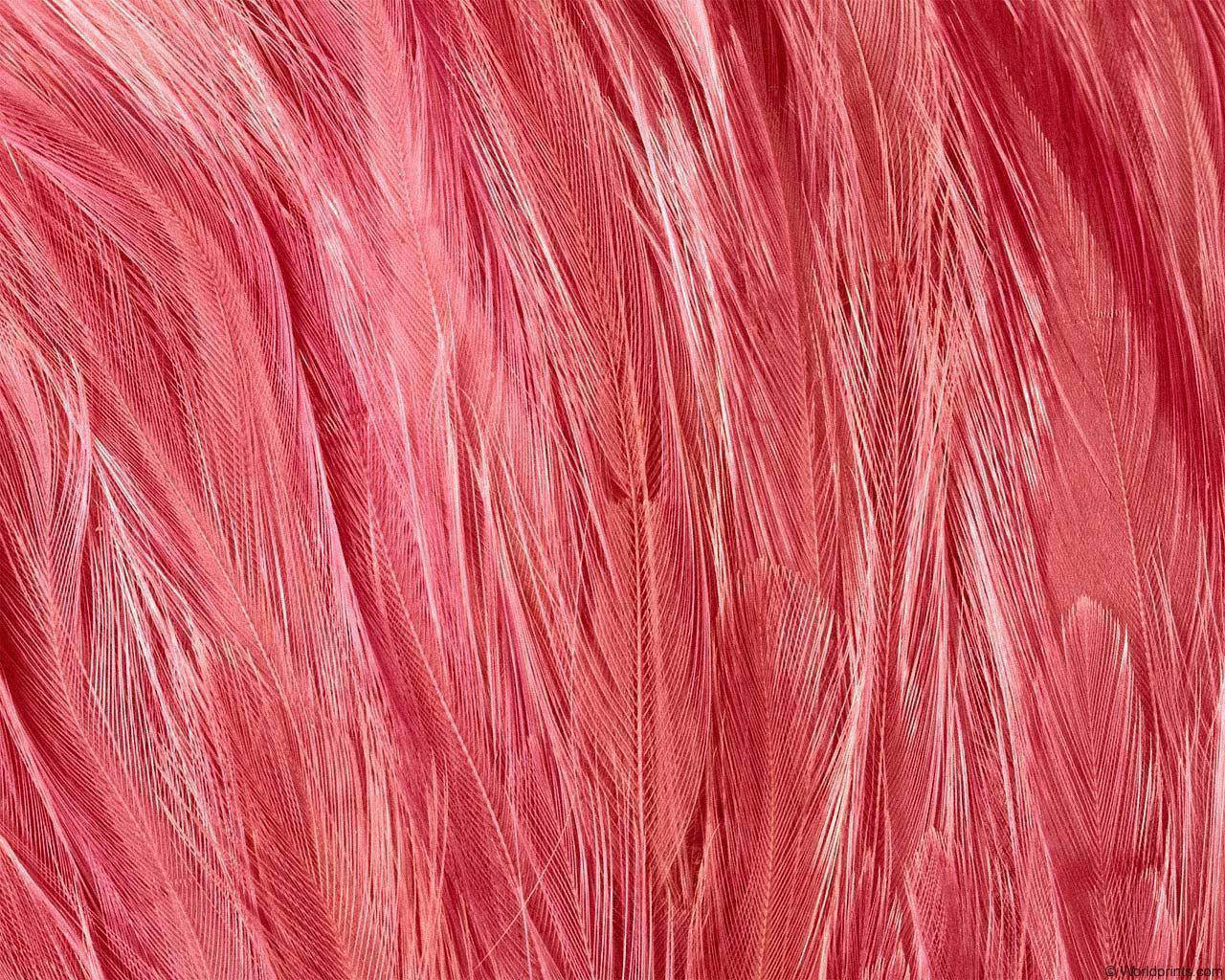 animal_patterns_9.jpg