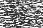 BWBARK24.JPG