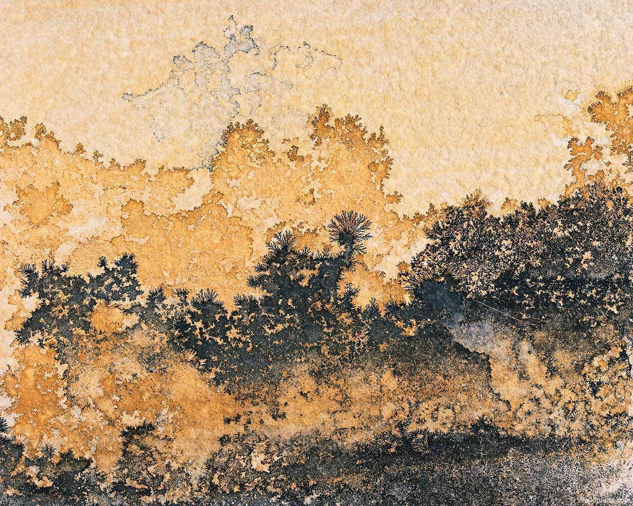 flagstone.jpg