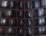 animal_patterns_46.jpg