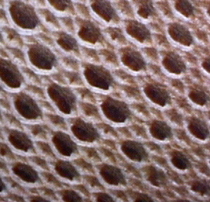 HOLES01.JPG