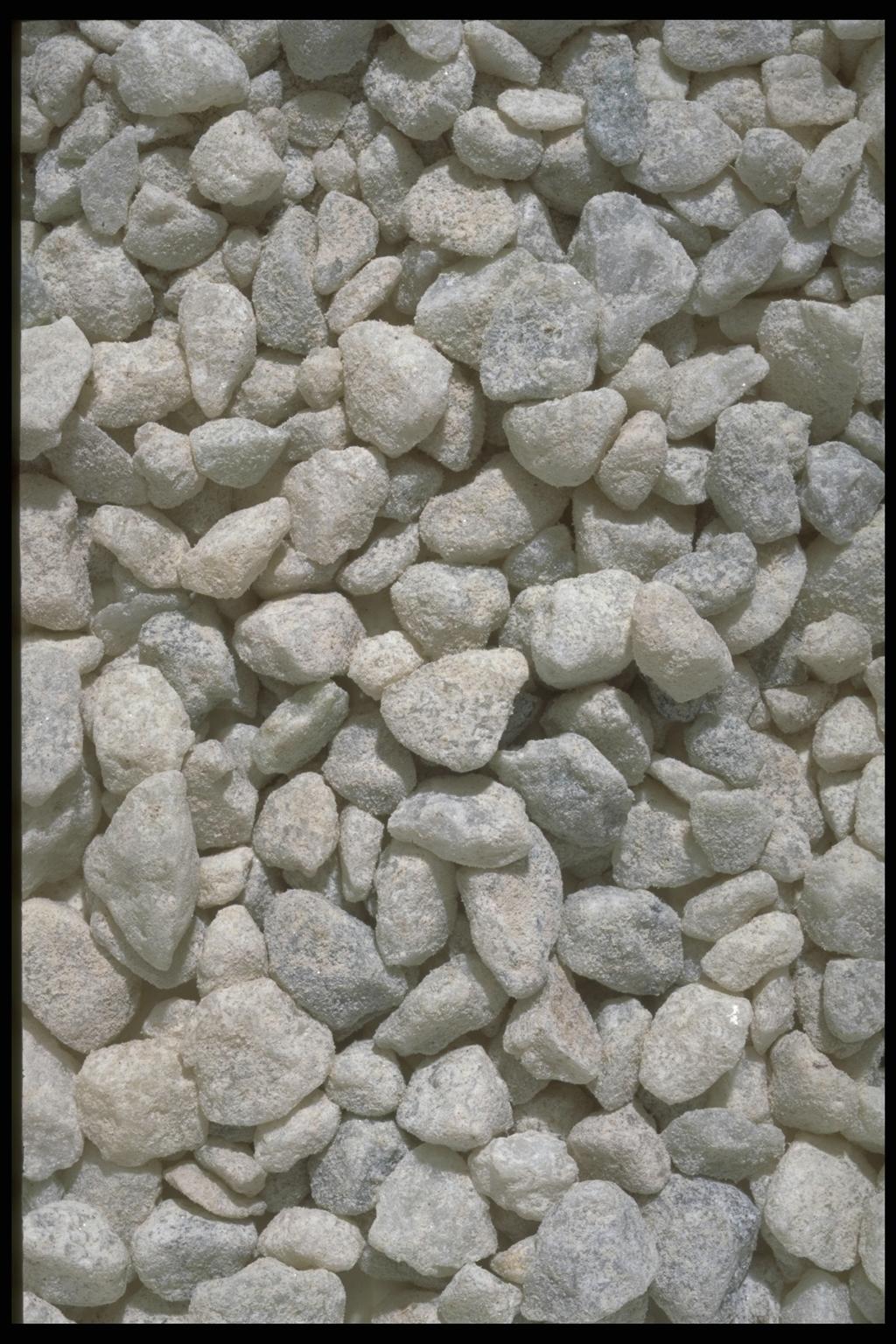403017.JPG