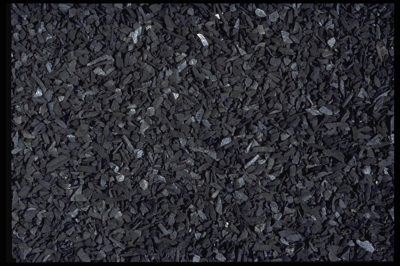 403023.JPG