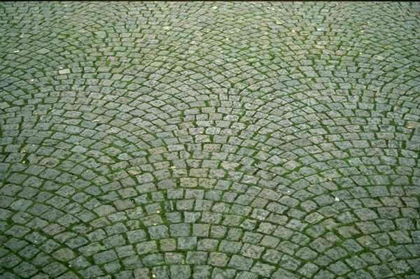 PAVING.JPG