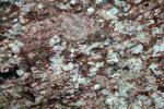 STONE03.JPG