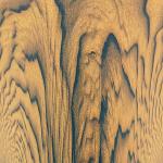 VENEER01.JPG