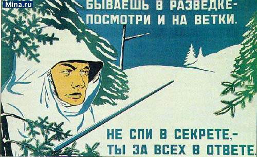 65.JPG