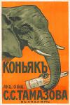 konja_t00.jpg
