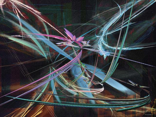 00529.jpg