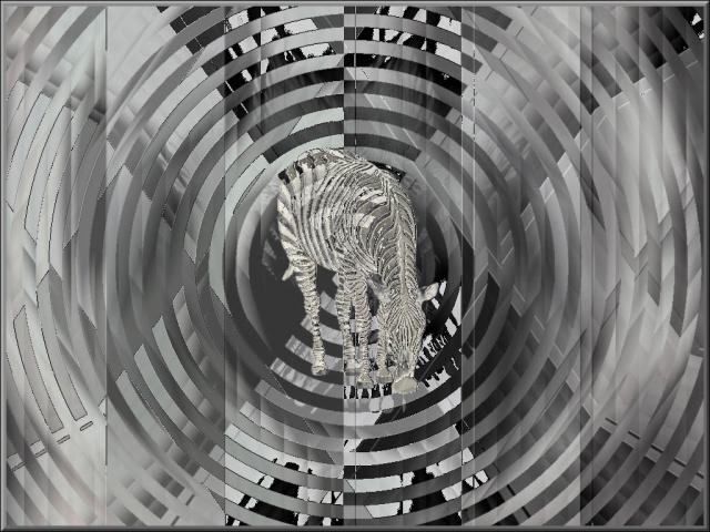 00844.jpg
