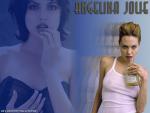 angelina_jolie_16.jpg