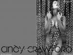 cindy_crawford_34.jpg