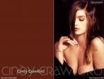 cindy_crawford_35.jpg