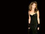 cindy_crawford_9.jpg