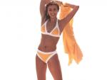 elizabeth_hurley_11.jpg