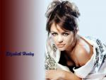 elizabeth_hurley_14.jpg