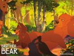 Bear2_1024.jpg