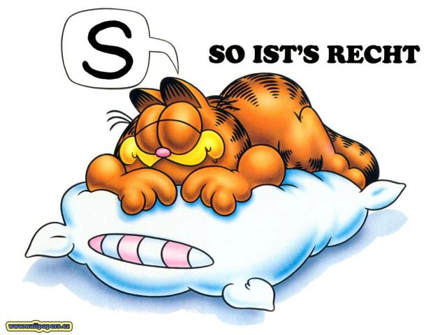 garfield62.jpg