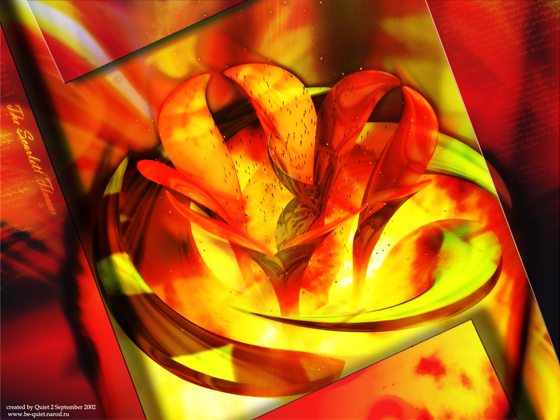 scarlett_flower.jpg
