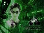 Matrix 020.jpg