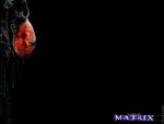 Matrix_014.jpg