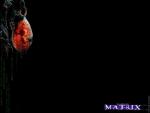 Matrix_014.jpg