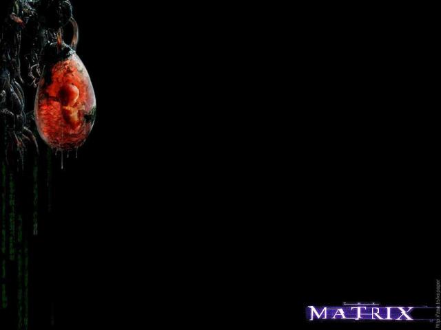 Matrix_014.jpg