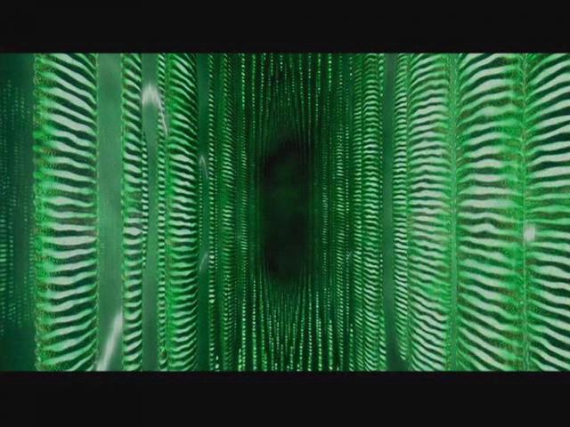 Matrix_016.jpg