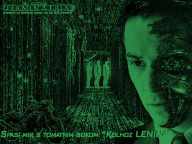 TermiMatrix.jpg